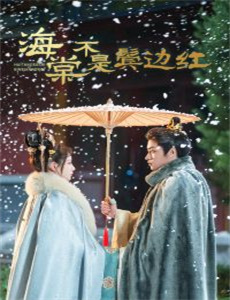 粉红色的火烈鸟