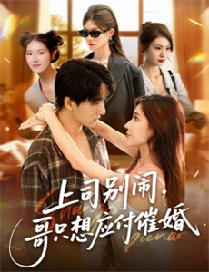 曼哈顿的槲寄生