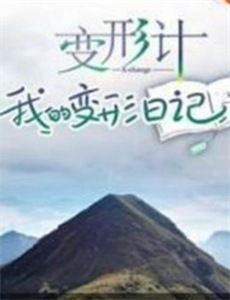 阿森纳体育场之谜